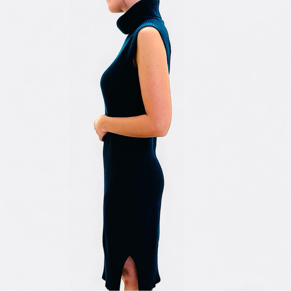 THE LIMITED gorgeous knit dress